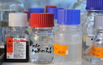 Bellinzona Andrea Alimonti ricercatore IOSI