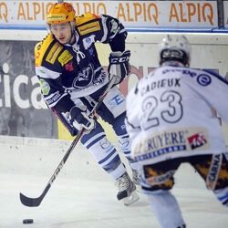 Hockey HC Ambri Piotta HC Friborgo Gotteron Hockey HC Ambri Piotta HC Friborgo Gotteron