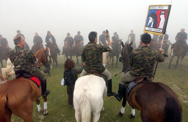 Monte Lema trekking a cavallo insubrico