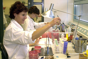 Bellinzona Istituto Cantonale Microbiologia