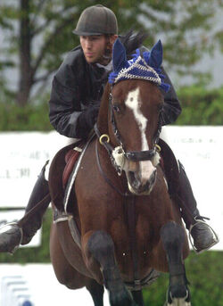 Ippica concorso elite qualifiche ai campionati svizzeri