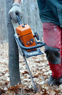 Cademario giornata sul legname AELSI