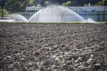 Ticino coltivazioni sul Piano di Magadino bel temppo emergenza siccit&agrave;