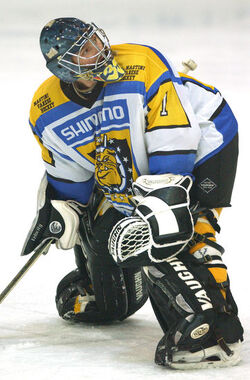 Hockey Italia Varese Brunico