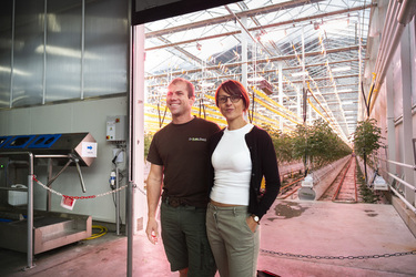 SANT ANTONINO presentazione Orticola Bassi per la produzione di pomodori svizzeri in inverno con tecnologie all avanguardia
