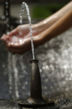 Ticino acqua potabile
