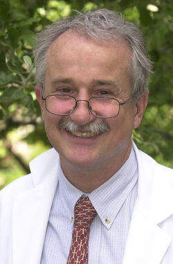 Locarno Augusto Pedrazzini