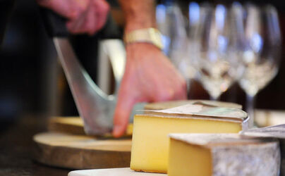 02.2011 Lugano degustazione di formaggio al Bottegone del Vino
