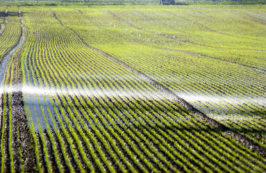 Senza titolo Senza titolo