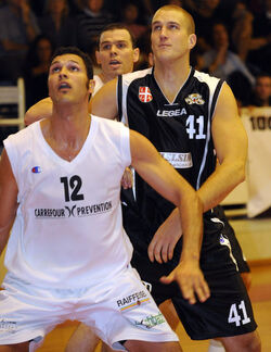 Basket Scott Vandermeer