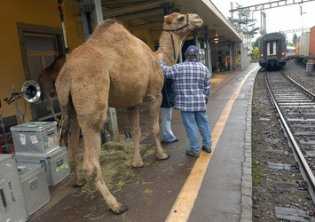 Faido set pubblicitario treni non fumatori
