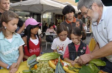 Bellinzona performance Arcimboldo Bellinzona performance Arcimboldo