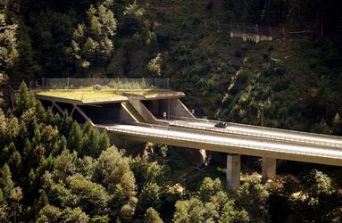 TematichePanoramica