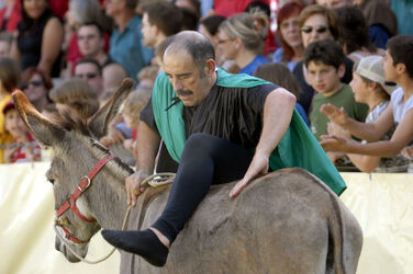 Mendrisio Palio degli Asini