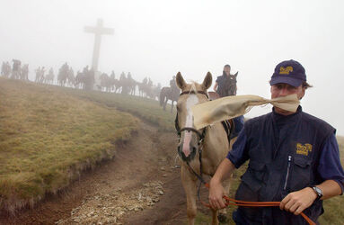 Monte Lema trekking a cavallo insubrico