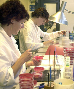 Bellinzona Istituto Cantonale Microbiologia