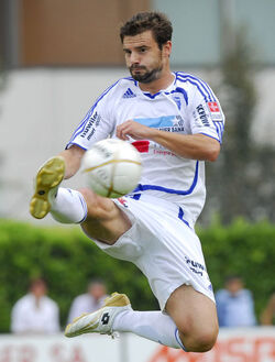Calcio Nemanja Cvetkovic