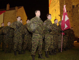 Bellinzona consegna bandiera Corpo di Catastrofe