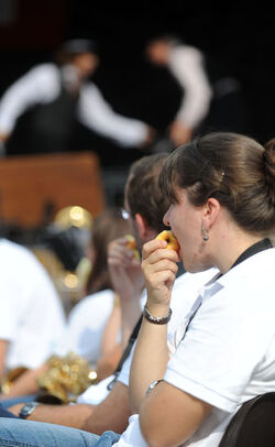 Bellinzona Bellinzona citt&agrave; del gusto 2011 cerimonia ufficiale di chiusura della Settimana del Gusto
