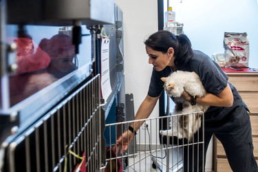 Bellizona Martina Casella veterinaria