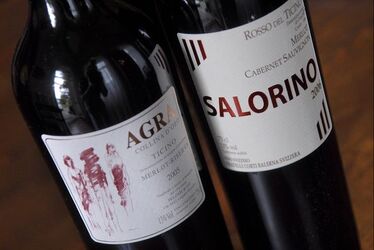 Balerna vini vincitori a Expovina 2008