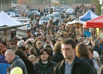 Mendrisio Fiera San Martino 2003