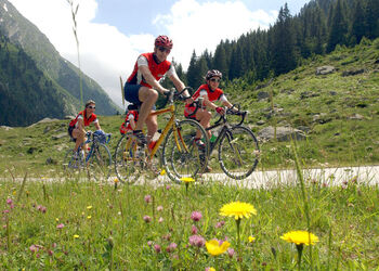 Ticino Trittico alpino Ticinese