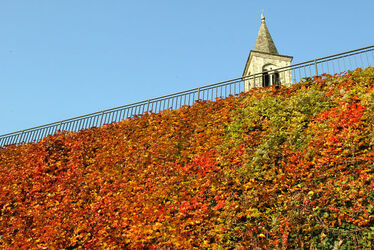 Autunno