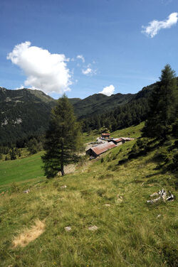Valle Morobbia veduta Alpe Giumello