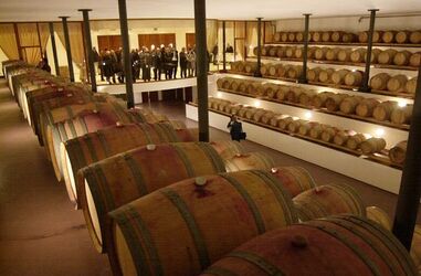 Ligornetto visita parlamentari svizzeri alle cantine