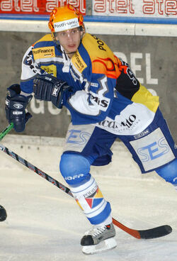 Hockey Hnat Domenichelli