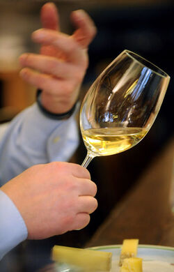 02.2011 Lugano degustazione di formaggio al Bottegone del Vino