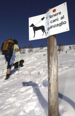 Monte Bar cani al guinzaglio