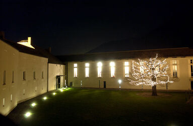 Bellinzona illuminazione castagno