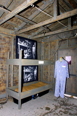 Lugano vittime dimenticate baracca Mauthausen Lugano vittime dimenticate baracca Mauthausen