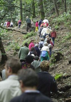 Bissone sentiero panoramico Bissone sentiero panoramico