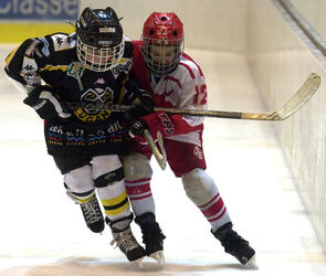 Hockey giovanile Mc Donalds Cup piccolo