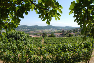 Besazio veduta panoramica