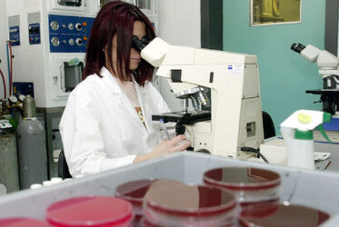 Bellinzona laboratorio cantonale inaugurazione Bellinzona laboratorio cantonale inaugurazione