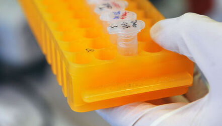 Bellinzona Andrea Alimonti ricercatore IOSI