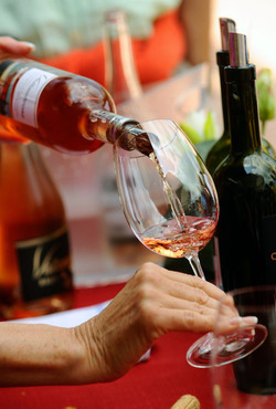 Ticino Cantine Aperte Ticino Cantine Aperte