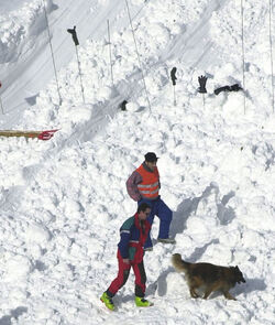 Valle Bedretto valanga mortale Valle Bedretto valanga mortale