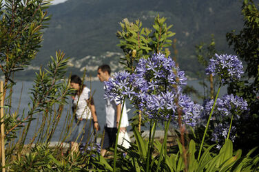 Brissago Isole di Brissago