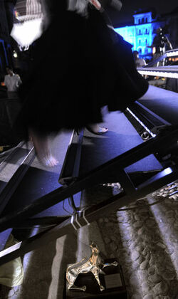 Locarno 62&deg; Festival del Film consegna Pardo d Onore 2009 il Pardo D onore