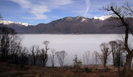 Monte Ceneri Mare di nebbia