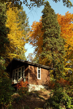 Autunno