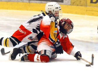 Hockey torneo MCdonald