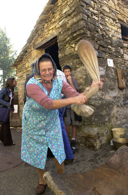 Cabbio battuta delle castagne Cabbio battuta delle castagne