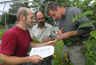 Lattecaldo meeting esperti effetti ozono Lattecaldo meeting esperti effetti ozono