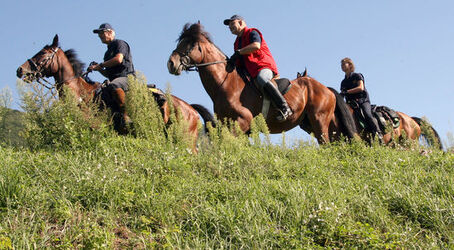 Giubiasco trekking dell Insubria a cavallo